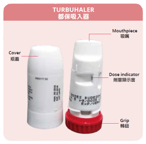 turbuhaler structure