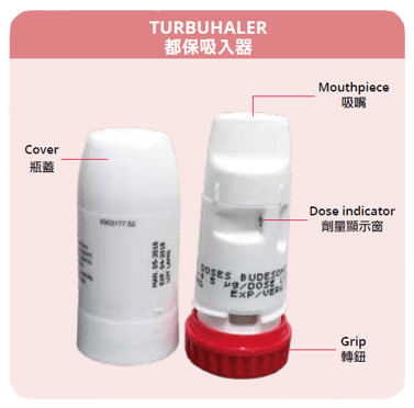 turbuhaler structure